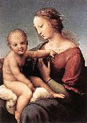 RAFFAELLO Sanzio Madonna and Child oil painting on canvas